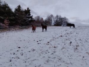 IMG_20220120_164354