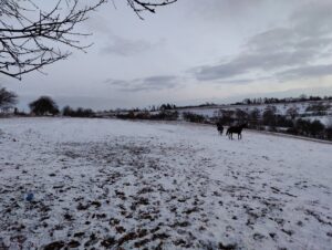 IMG_20220120_164640